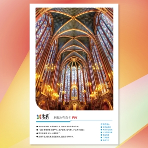 金丽单面涂布白卡FIV