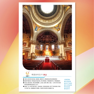 金蝶兰单面涂布白卡IVJ