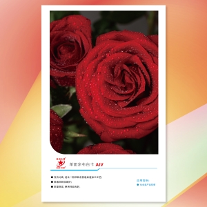 亚洲之星单面涂布白卡AIV